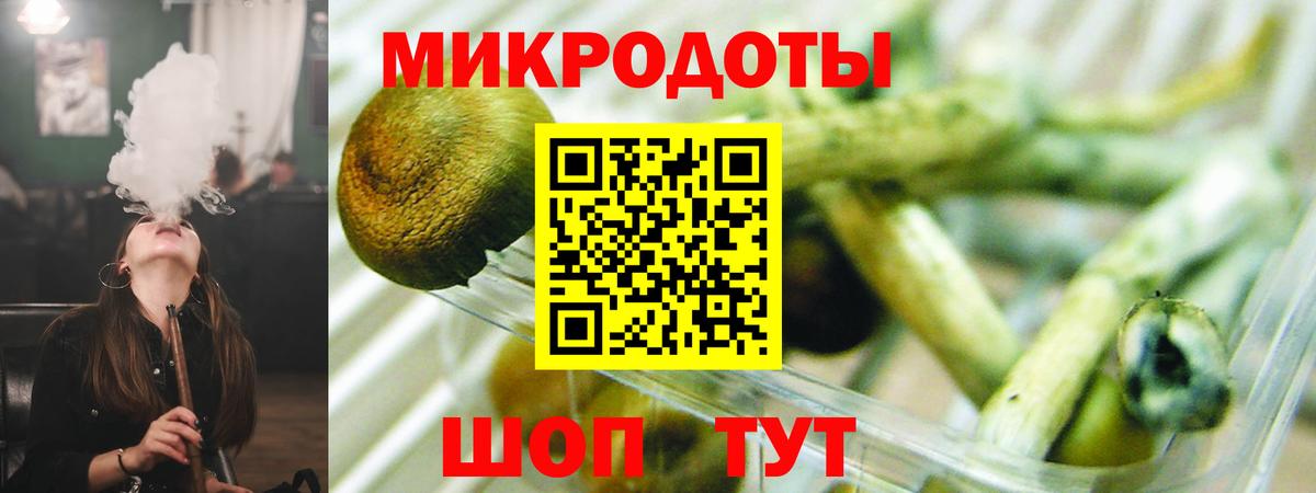 Галлюциногенные грибы прущие грибы  Вход с VPN  Псилоцибиновые грибы Psilocybine cubensis  Менделеевск 